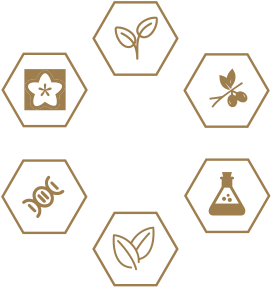 BG大游集团(中国)唯一官方网站