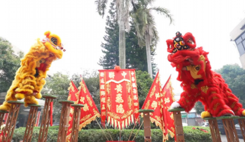 龙腾狮跃，共铸鲜丽未来！